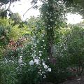 dscn8530.jpg