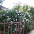dscn8550.jpg