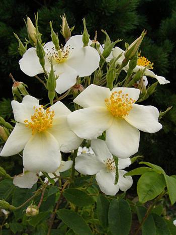 p1220137.jpg