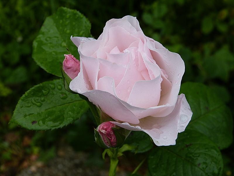 p1230030.jpg