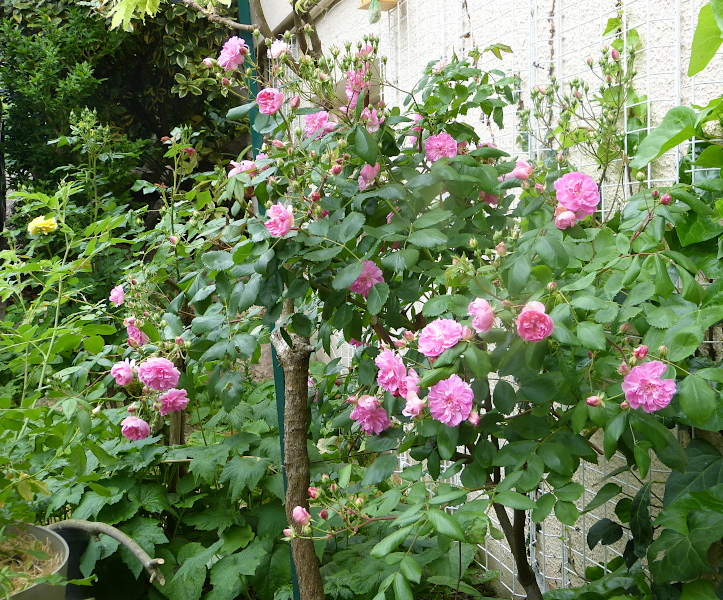 p1340871.jpg