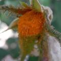 r0026346r.jpg