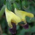 r0026641r.jpg
