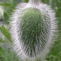 dscn0847.jpg