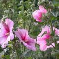 dscn09884.jpg