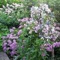 dscn09915.jpg