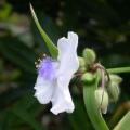 dscn10155.jpg