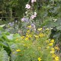 dscn10195.jpg