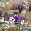 dscn1077.jpg