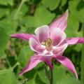 dscn1145.jpg