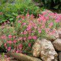dscn1318.jpg