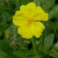 dscn1735.jpg