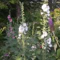 dscn2878.jpg