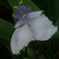 dscn3054.jpg