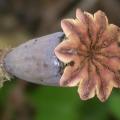 dscn3082.jpg