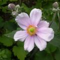 dscn3298.jpg
