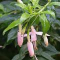 dscn5166.jpg