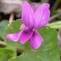 dscn7468.jpg