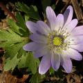 dscn9760.jpg