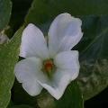 dscn9763.jpg