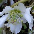 dscn9785.jpg
