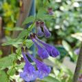 p1010250r.jpg