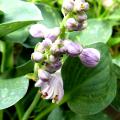 p1020159.jpg