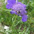 p1020357r.jpg