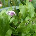 p1050581.jpg