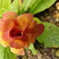 p1160791_ken_dearman.jpg