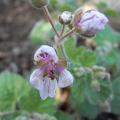 r0023567r.jpg