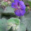 r0026635r.jpg