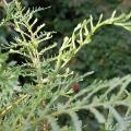 r0026643r.jpg