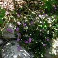 r0027546r.jpg