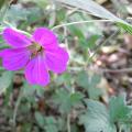 r0029848r.jpg