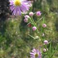 r0029866r.jpg
