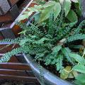 r0030597r.jpg