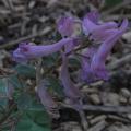 r0031396r.jpg