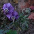 r0031506r.jpg