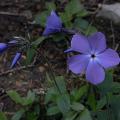 r0031785r.jpg