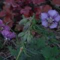 r0031822r.jpg