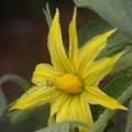 dscn3483.jpg