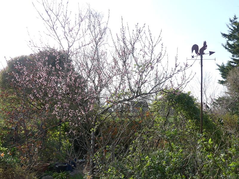 p1000998.jpg