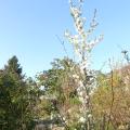 p1010041.jpg