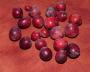 lysiane:potager:fruits:p1210568.jpg