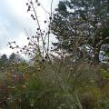p1300420.jpg