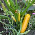 dscn3190.jpg