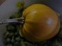 lysiane:potager:legumes:r0013181_red.jpg