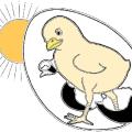 poussin1.jpg