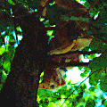 a.1chat_html_m17ed6c53.gif